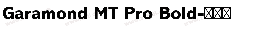 Garamond MT Pro Bold字体转换